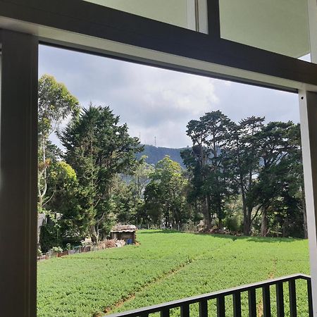 Green Mount View Two Bed Room Apartment Nuwara Eliya Extérieur photo