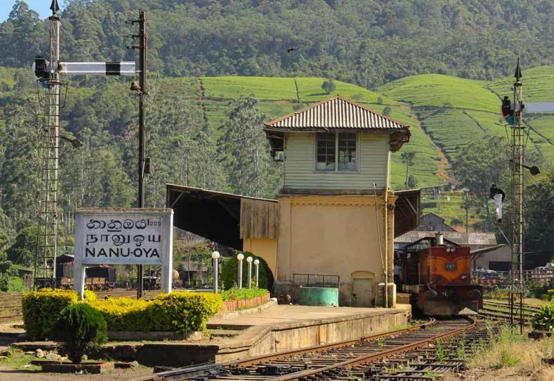 Green Mount View Two Bed Room Apartment Nuwara Eliya Extérieur photo