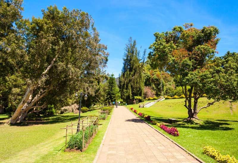Green Mount View Two Bed Room Apartment Nuwara Eliya Extérieur photo